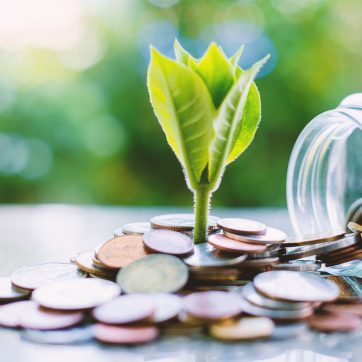 Plant,Growing,From,Coins,Outside,The,Glass,Jar,On,Blurred