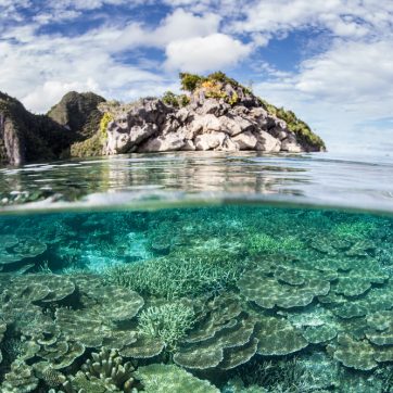 coral, ocean, island