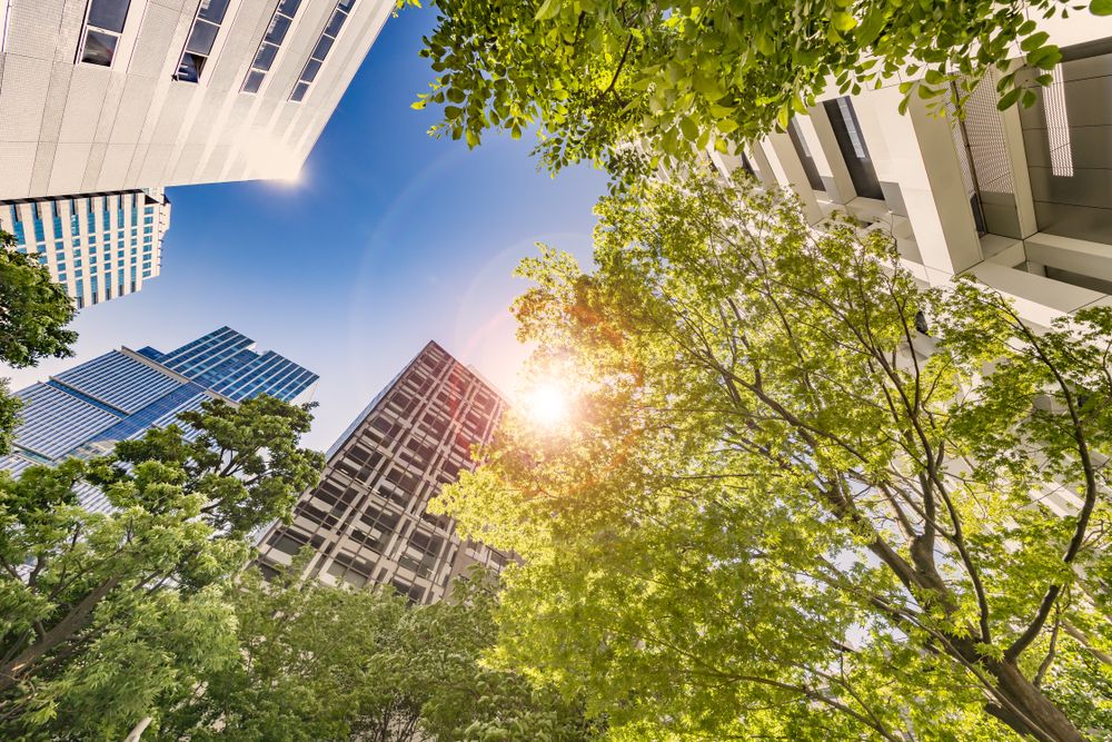 Five European start-ups advance to Stage 3 of Clean Cities ...